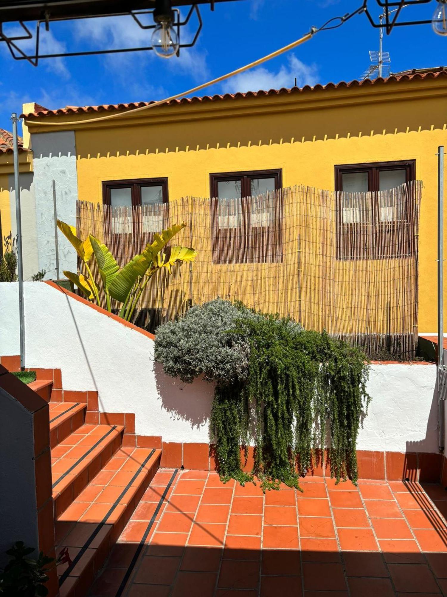 Agradable Casa Con Terraza Leilighet La Laguna  Eksteriør bilde